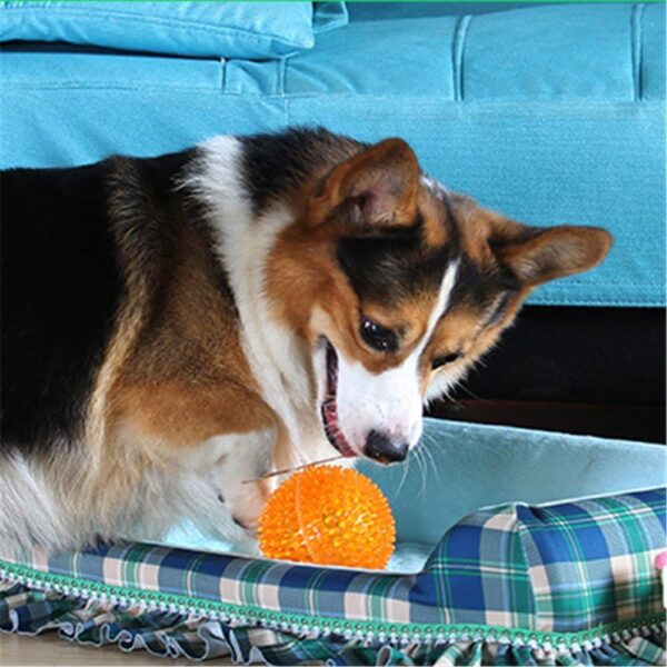 Woofy EETOYS Durable Dog Spike Ball, Squeaker Spiky Ball Squeaky Woofy EETOYS Durable Dog Spike Ball, Squeaker Spiky Ball Squeaky Dog Toy for Tooth Cleaning, Training, Play Fetch, Boring - Orange Color Large Size