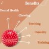 61UGy-nWfUL._SL1500_.jpg Pack of 2 Solid Spiky Balls for Pets, Durable Rubber Chew & Play Toy Set, Interactive Dog Sensory Spike Balls