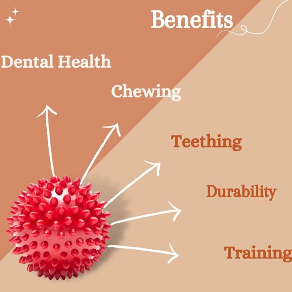 61UGy-nWfUL._SL1500_.jpg Pack of 2 Solid Spiky Balls for Pets, Durable Rubber Chew & Play Toy Set, Interactive Dog Sensory Spike Balls