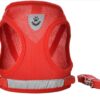 Dog Harness, Puppy Dog or Cat Harness with Nylon Leash, Reflective No Pull, Soft and Breathable Dog Vest(Red,Small)