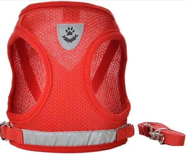 Dog Harness, Puppy Dog or Cat Harness with Nylon Leash, Reflective No Pull, Soft and Breathable Dog Vest(Red,Small)