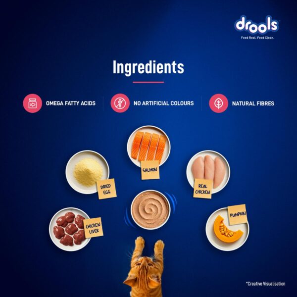 Drools Kitten Cat Wet Mousse 80gm | Salmon | Rich in Protein, Promotes Hydration & Easy to Digest | Grain Free, No Artificial Flavours | Packed with Essential Vitamins & Antioxidants