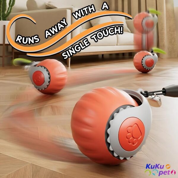 Interactive Cat Toy Ball with Tail | USB-C Rechargeable, No Batteries Required | 360° Rotating Ball for Playing & Excercising | Encourages Cat's Hunting Instincts