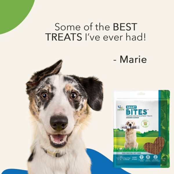 61UlcSRcI1L._SL1080_.jpg Natural Remedies Smart Bites - Training & Development Treats for Dogs & Puppies of All Breeds, Easily Digestible Soft Chew Short Sticks, Grain & Gluten-Free, Chicken Flavor, 75g (Pack of 3)