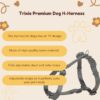 Trixie Premium H-Harness Belt for Dogs, Stylish Design, Adjustable Webbing Tape, Strain Relief, Lightweight & Adjustable Straps (S-M, Graphite)