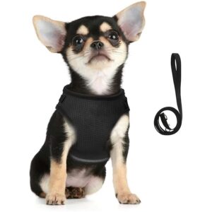 Kuber Industries Dog Chest Harness with Nylon Leash I No Kuber Industries Dog Chest Harness with Nylon Leash I No Pull, Soft Padded and Breathable Dog Vest I Adjustable, Reflective I Easy Control Dog Chest Belt I (XS, Black)