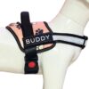 Dog Vest Harness Body Belt, Choke-Free, Adjustable Size, Reflective Strap Dog Vest Harness Body Belt, Choke-Free, Adjustable Size, Reflective Strap | for 02-04 Kilograms Dogs (XS, Pink-PAW)