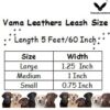 61VCJXO6j4L._SL1080_.jpg Vama Leathers Patent Applied Product Sustainable & Eco Friendly Material Dog Leash 100% Cotton Canvas with Sturdy Solid BrassHand Made for Small Dogs Length 5 Feet Width-3/4 Inches Color Brown