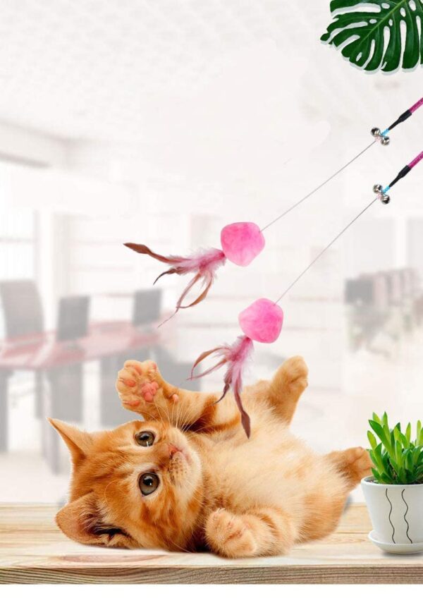 61VYlMLdgzL._SL1126_.jpg The Pets Company Cat Wand Teaser Toy | Feather + Big Fur Feather Ball | for Kittens + Older Cats | Interactive Cat Playing Toy | Set of 2