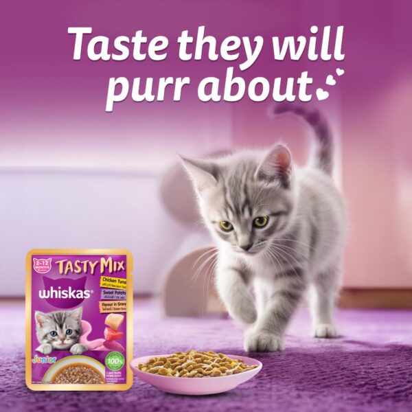 61Vcyd8LEGL._SL1100_.jpg Whiskas Tasty Mix Kitten (2-12 Months) Wet Cat Food, Chicken, Tuna with Sweet Potato in Gravy, 70 g x 14, 100% Complete & Balanced Nutrition for Kittens