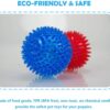 PremiumAV Spike Bouncy & Squeaky TPR Rubber Ball – Durable Dog & Cat Chew Toy for Teeth Cleaning, Interactive Dental Health Toy, Stress Relief and Fetch