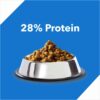 61VjGCk-NdL._SL1500_.jpg Drools Adult Dry Cat Food, Ocean Fish, 3kg with Free 1.2kg, Tatal 4.2 Kg Pack