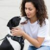 61VsFKUV2nL._SL1024_.jpg HANK Dog Harness | 3M Reflective Strap | Dog Body Vest for Medium Dogs | Soft Comfortable Padded | Anti Pull Harness for Walking, Training (Black - M (14-22Kg)