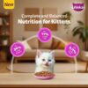 61W6RsFZLTL._SL1001_.jpg Whiskas Persian Kitten (2-12 Months) Dry Cat Food, 1.1kg, 100% Complete & Balanced Tailor Made Nutrition, Reduces Hairfall, for Healthy Coat & Skin