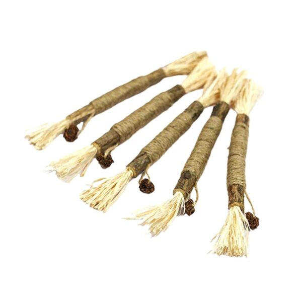 61WUWKcE0rL._SL1500_.jpg Fashion My Day® 5Pcs Cat Chew Sticks Catnip Chew Toy Dental Molar Teeth Cleaning Fruit Ball | Pet Supplies| Cats| Toys| Feather Toys | Pet Supplies | Cat Supplies | Toys