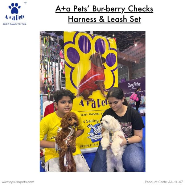 61WbMaR5vAL._SL1024_.jpg A+a Pets' Bur-Berry Checks Combo of Harness & Leash Set for Dogs and Cats (S)