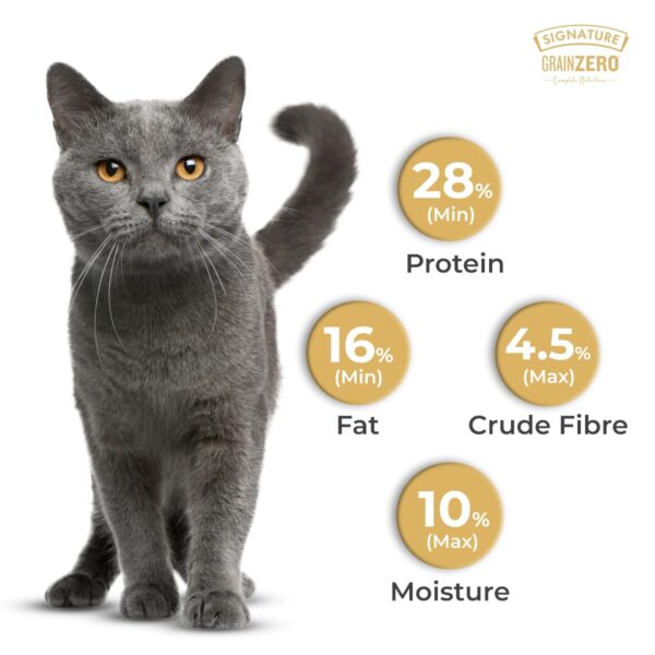 61WocOHljL._SL1200_.jpg Grain Zero Adult Dry Cat Food 1.2kg | Ocean Fish, Sardine & Mackerel | 48% Fresh Fish Inclusion, No Grain Formula, Gluten-Free | Promotes Healthy Skin & Coat | All Breeds
