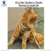 A+a Pets' Bur-Berry Checks Combo of Harness & Leash Set A+a Pets' Bur-Berry Checks Combo of Harness & Leash Set for Dogs and Cats (S)