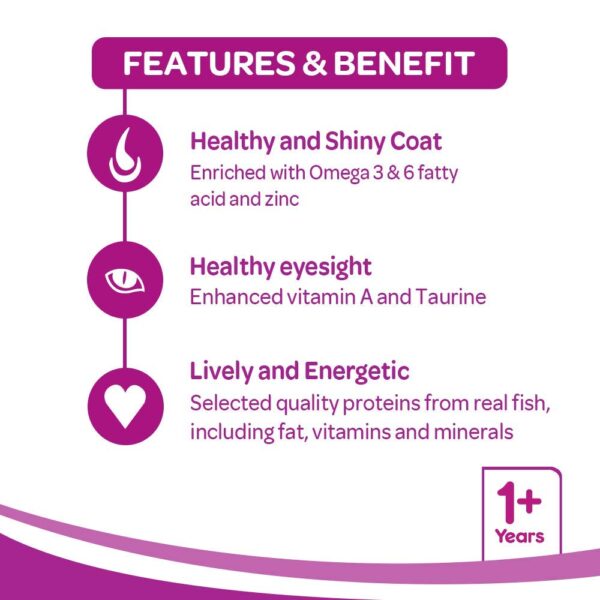 61XsZ0ybirL._SL1000_.jpg Whiskas Adult (+1 Year) Dry Cat Food, Chicken Flavour, 1.2kg Pack and Adult (+1 Year) Dry Cat Food, Ocean Fish Flavour, 1.2kg Pack