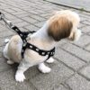 61Yhyf0oZL.jpg Woofy Pet Paw Print Nylon Puppy Harness + Leash and Collar Set for Small & Medium Dogs (Black)
