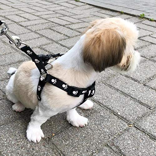 61Yhyf0oZL.jpg Woofy Pet Paw Print Nylon Puppy Harness + Leash and Collar Set for Small & Medium Dogs (Black)