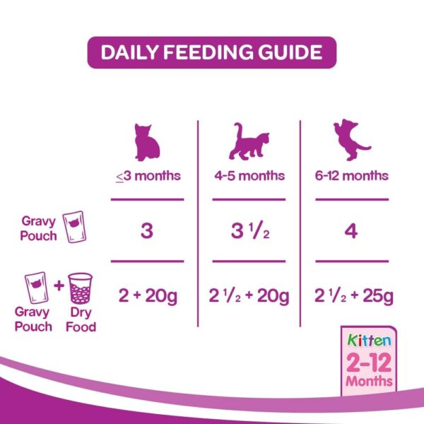 Whiskas Adult (1+ Years), Wet Cat Food, Salmon in Gravy Flavour, 48 Pouches (48 x 85g)