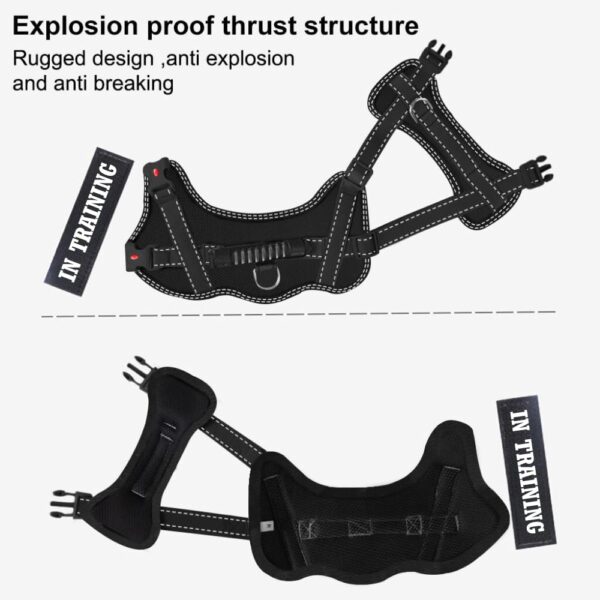 KIKA Pets Muscle Dog Harness for Large Dogs, L Size (21-35 kg Dogs), Midnight Black