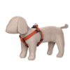 Designer Dog Halter V Harness| Dog Vest Harness| Dog Harness Comes with Orange Color for Small Dogs Regular Harness.