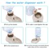 61Y4H7rDMDL._SL1001_.jpg Cyrox 3.5 Litter Self-Dispensing Gravity Pet Food Feeder Bowl Water and Food Cat Feeder Bowl and Automatic Water Dispenser Bottle (1Pcs)