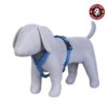 SNUNGPHIR Petslike Full Harness, Small, Dog (Sky Blue)