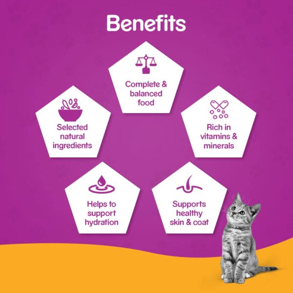 61YZNgLKKNL._SL1000_.jpg Whiskas Adult (+1 Year) Wet Cat Food, Tuna In Jelly, 24 Pouches (24 X 85G) & Chicken In Gravy, 24 Pouches (24 X 85G), 1 Count