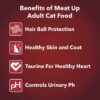 61YZWpkahS._SL1200_.jpg Meat Up Adult Cat Food, Ocean Fish - 1.2 kg Pack (Buy 1 GET 1 Free) & Meat Up Kitten Cat Food, 1.2 kg (Buy 1 GET 1 Free)