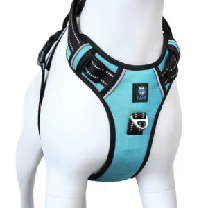 HANK Dog Harness | 3M Reflective | Strong Metal Hook | Dog Chest Belt for Large Dogs | No Pull Harness for Walking, Training (Cyan Blue - L (23-35Kg)