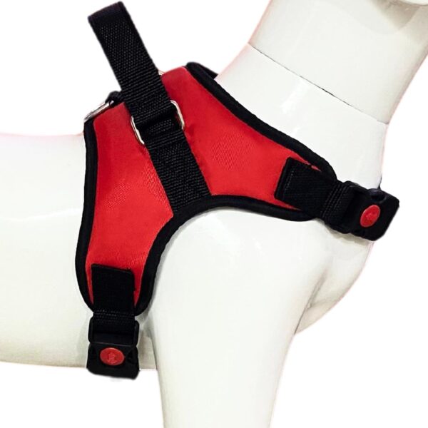 No Pull Dog Body Belt | Adjustable & Soft Padded Dog Harness | for 14-23Kg Dogs - Pomeranian, Beagle, Bulldog (M, Red)