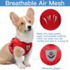 61Yo277kQkL._SL1000_.jpg Qpets® Dog Vest Harness for Large Dogs with 1.2m Leash, Breathable Mesh Fabric, Reflective Strips, Adjustable Size (XL, Red)