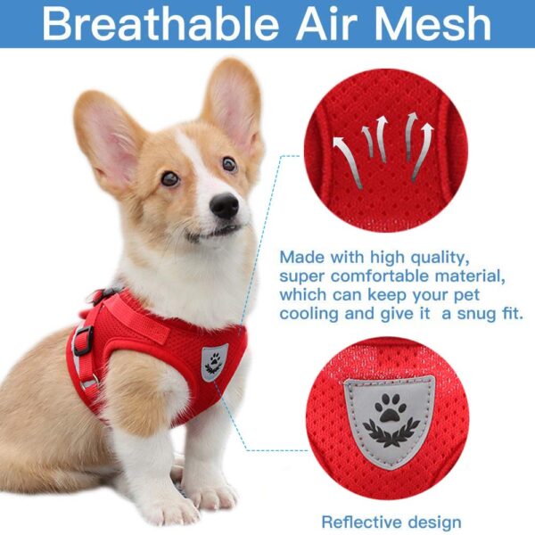 61Yo277kQkL._SL1000_.jpg Qpets® Dog Vest Harness for Large Dogs with 1.2m Leash, Breathable Mesh Fabric, Reflective Strips, Adjustable Size (XL, Red)