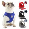 61YsWVbTaOL._SL1080_.jpg Kuber Industries Reflective Dog Harness with Adjustable Leash|Breathable Polyester Mesh Fabric |XS Size|HT-844|Comfortable No-Pull Grip|Quick Release Buckles|Easy On - Easy Off Harness|Blue
