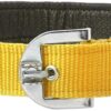 Munchos High Soft Quality Padded Everyday Dog Collar (Colour May Vary) (1 Inchi (Medium))