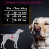 Designer Dog Halter V Harness| Dog Vest Harness| Dog Harness Comes with Orange Color for Small Dogs Regular Harness.