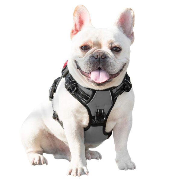 PHOEPET No Pull Dog Harness Medium Reflective Front Clip Vest with Handle,Adjustable 2 Metal Rings 3 Buckles,[Easy to Put on & Take Off](L, Grey)