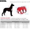 Outdoor Sports Harness for Dog Safety | Adjustable Pet Vest with Easy Control Handle for Outdoor Adventures Red