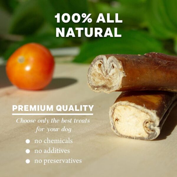 61ZrNyfGXeL._SL1024_.jpg Organic Dried Bully Chew Thick Sticks 100% Natural Protein Rich Dog Treat, Long Lasting Single Ingredient, Rawhide Free, Dog Food for Small, Medium and Adult Dogs (Bully Sticks)