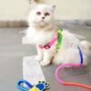 A+a Pets' Harness and Leash Set, Colourful Combo in Rainbow for Cats and Dogs (S, Rainbow)