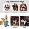 61aKZVEDE7L.jpg RvPaws Doggy Chewing Aggressive Pet Tooth Biting Anti-bite Molar Puppy Toothbrush, Tough Teething Toy for Small, Medium and Large Dogs