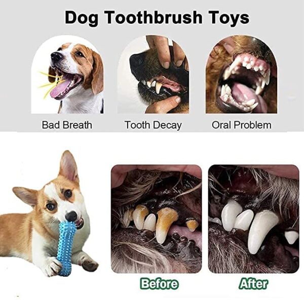 61aKZVEDE7L.jpg RvPaws Doggy Chewing Aggressive Pet Tooth Biting Anti-bite Molar Puppy Toothbrush, Tough Teething Toy for Small, Medium and Large Dogs