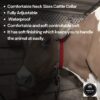 Farmer King Cow/Buffalo/Bull/Horse Solid Nylon Neck Belt, Rock Strong Collar, 1 Meter Adjustable Bel