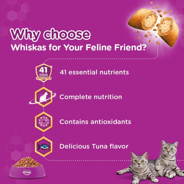 61aaqVL9oiL._SL1080_.jpg Whiskas Wet Food for Adult Cats (1+Years), Salmon in Gravy Flavour, 12 Pouches (12 x 85g) & Whiskas Adult (+1 Year) Dry Cat Food Food, Tuna Flavour, 480g Pack