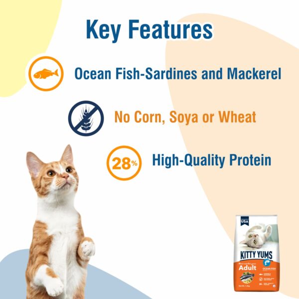61b3MFhY2hL._SL1500_.jpg Kitty Yums Adult (+1 Year) Dry Cat Food, Ocean Fish, 7kg