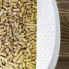 New Improved WISDOM SUPERPINE Wood CAT Litter- Pack of Two (5 KG x 2)