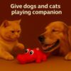 What's Poppin Crocodile Squeaky Dog Toy for Chewing, Fetch & Interactive Play | Textured Pet Toy for Dogs & Puppies | Built-in Squeaker, Gum Massage & Dental Care | Fun Alligator Chew Toy for Pets